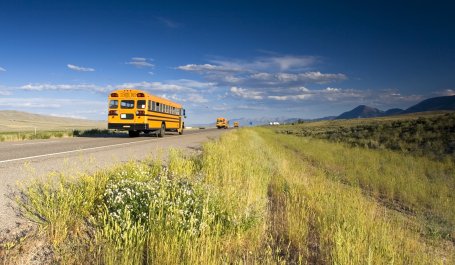 School buses drive down a rural road. 
