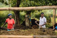 Two farmers working. 