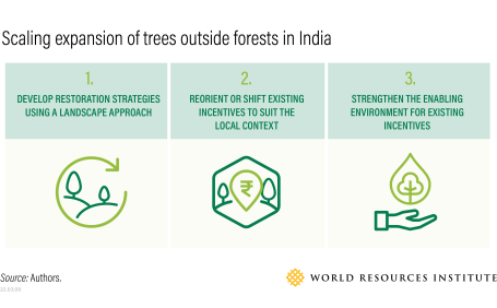 A graphic showing how to scale expansion of trees outside of forests in India