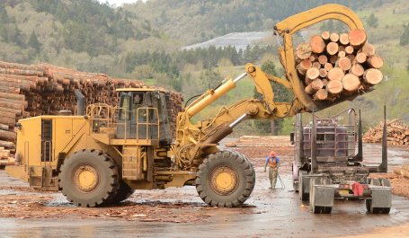 unloading log truck at lumber processing mill