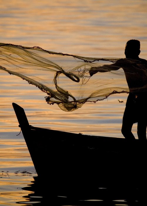 Fisherman in Malaysia casting a net