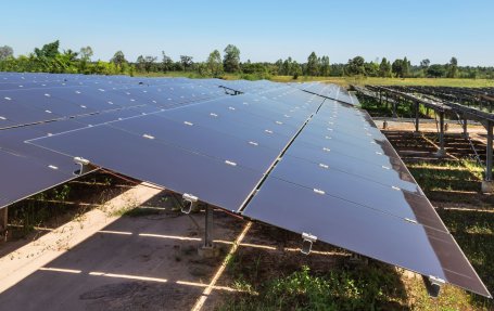 Solar panels tilted to the sun in a green field.