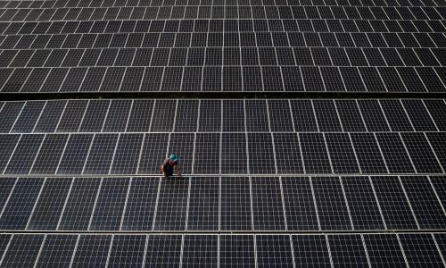 A worker cleans solar panels at a large solar plant.