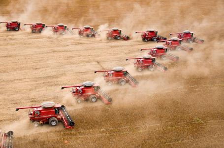 Tractors harvest soybeans on a brown field in Brazil.