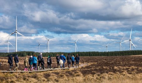 People walking on a boardwalk with trees and wind turbines in front of them.