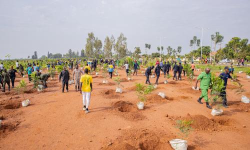 SUNCASA project partners joined local communities to plant more than 5,000 seedlings.