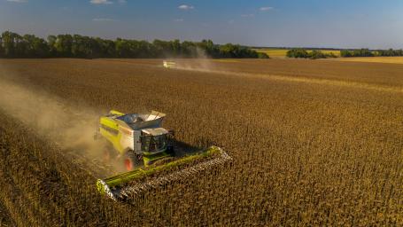 A combine harvests sunflowers in Ukraine
