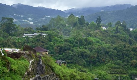 Houses sit among a misty tropical forest.