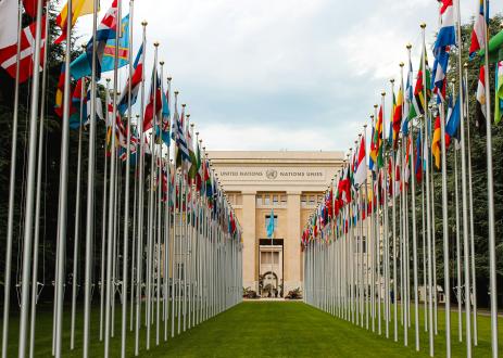 UN flags.