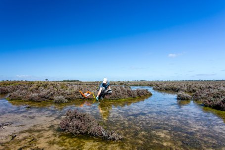 A man uses scientific instruments to test water quality in a wetland.