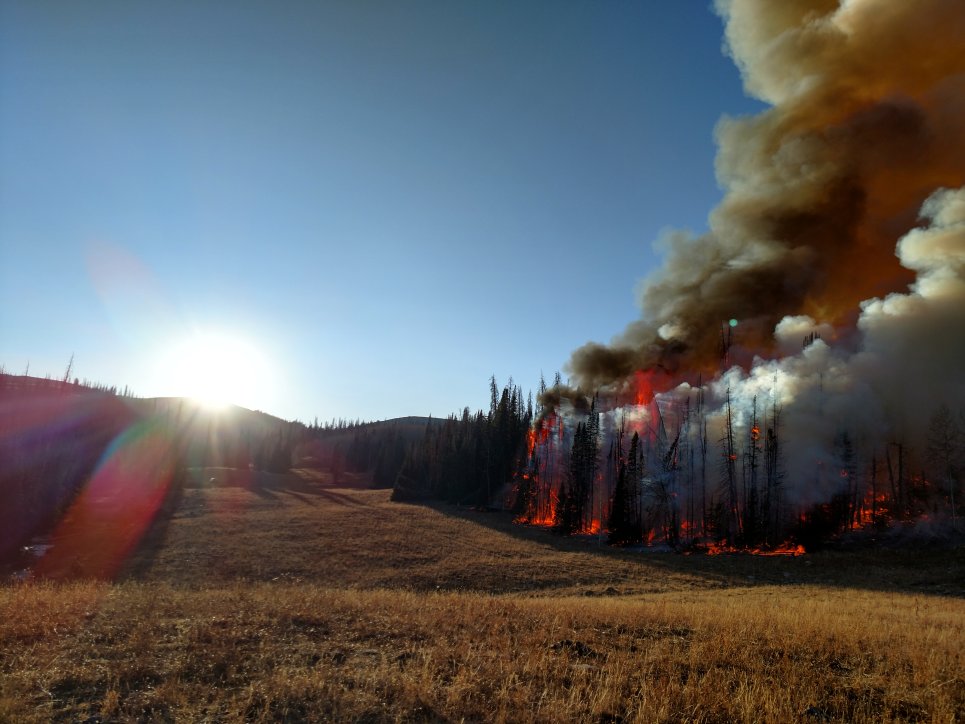 A controlled burn