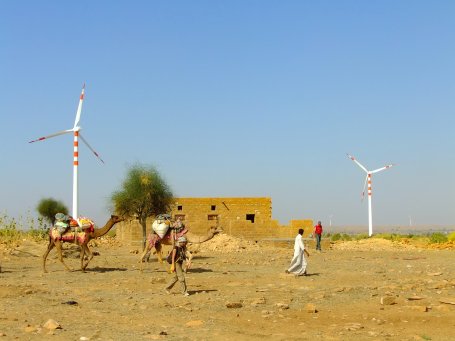 People with camels pass by wind turbines in the desert.  