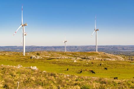 Wind turbines rise above the outskirts of Maldonado, Uruguay.