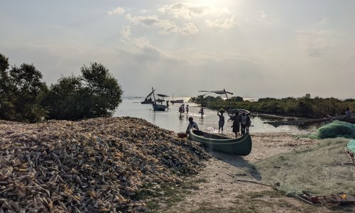 Women come ashore from fishing. 