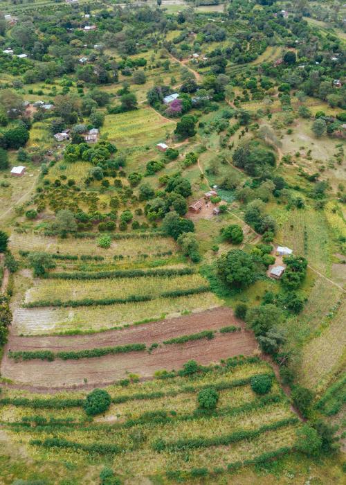 landscape in Africa