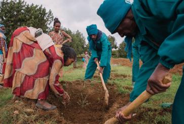 People working on planting trees.