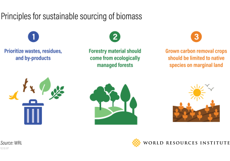 A chart showing the principles for sustainable sourcing of biomass