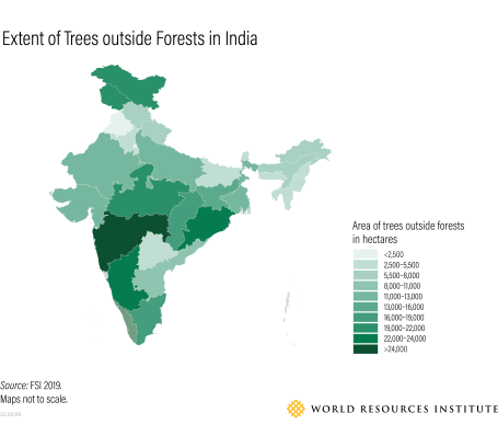 A graphic showing the extent of trees outside of forests in India.