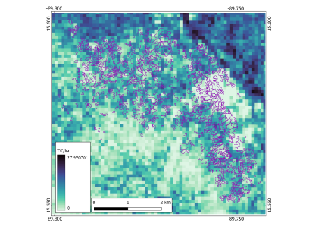 Baseline carbon stocks map.