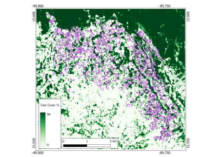 Baseline tree cover map.
