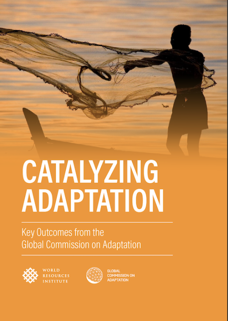 Catalyzing Adaptation Report Cover