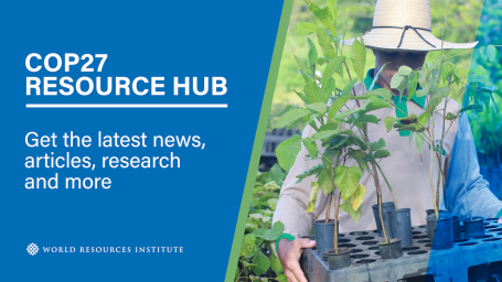 COP27 Resource Hub: Get the latest news, articles, research and more