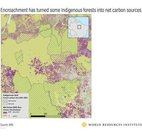 Map showing encroachment into Indigenous forests in the Amazon