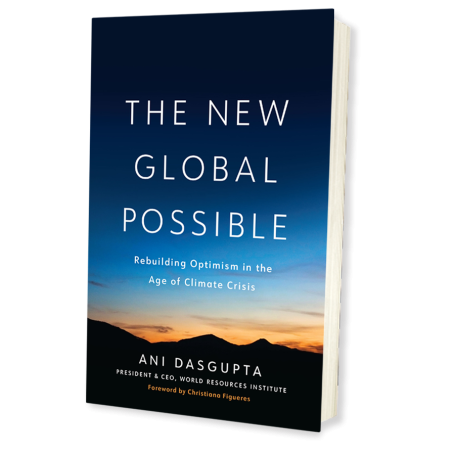 New Global Possible bookcover banner