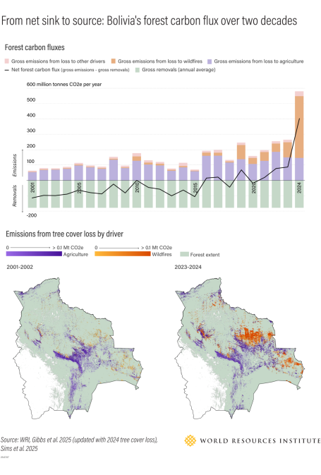 From net sink to source: Bolivia's forest carbon flux over two decades infographic