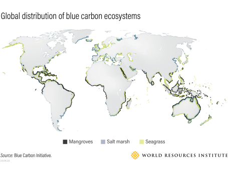 Map of mangrove, seagrass and salt marsh ecosystems along the world's coastlines.