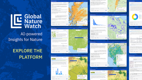 Global Nature Watch graphic.