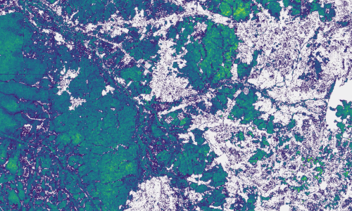 Global Tree Canopy Height dataset