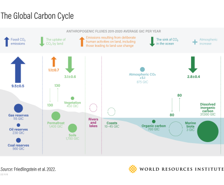 global carbon cycle
