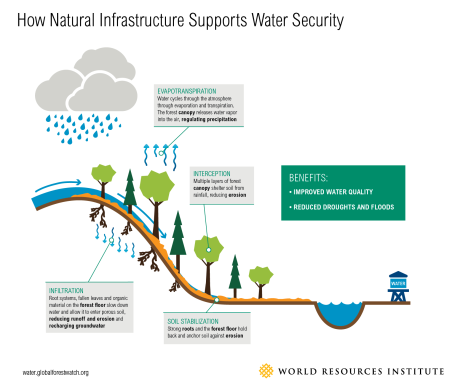 How Natural Infrastructure Supports Water Security.