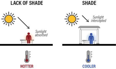Illustration showing how shade blocks the sun's heat to lower temperatures.