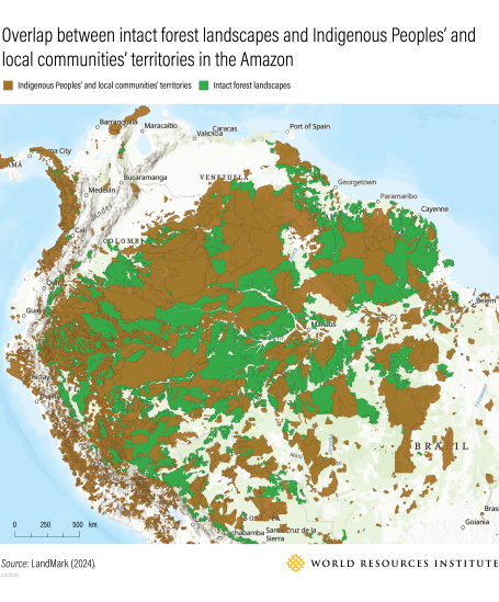 Map showing that Indigenous and community lands in the Amazon heavily overlap with intact forest areas.