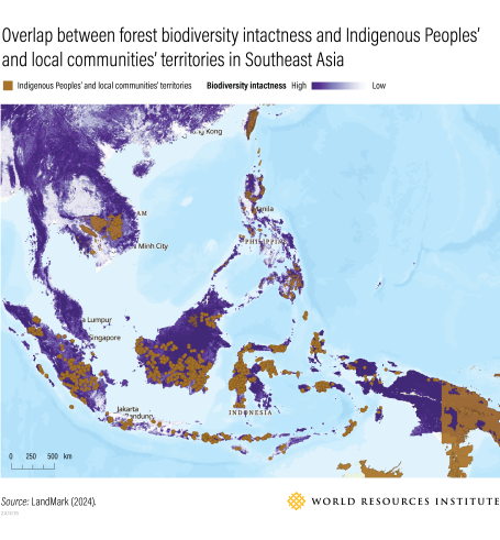 Map showing that Indigenous and community lands in the Southeast Asia heavily overlap with areas of high biodiversity intactness,