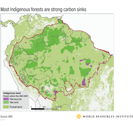 Carbon sinks on Indigenous lands in the Amazon