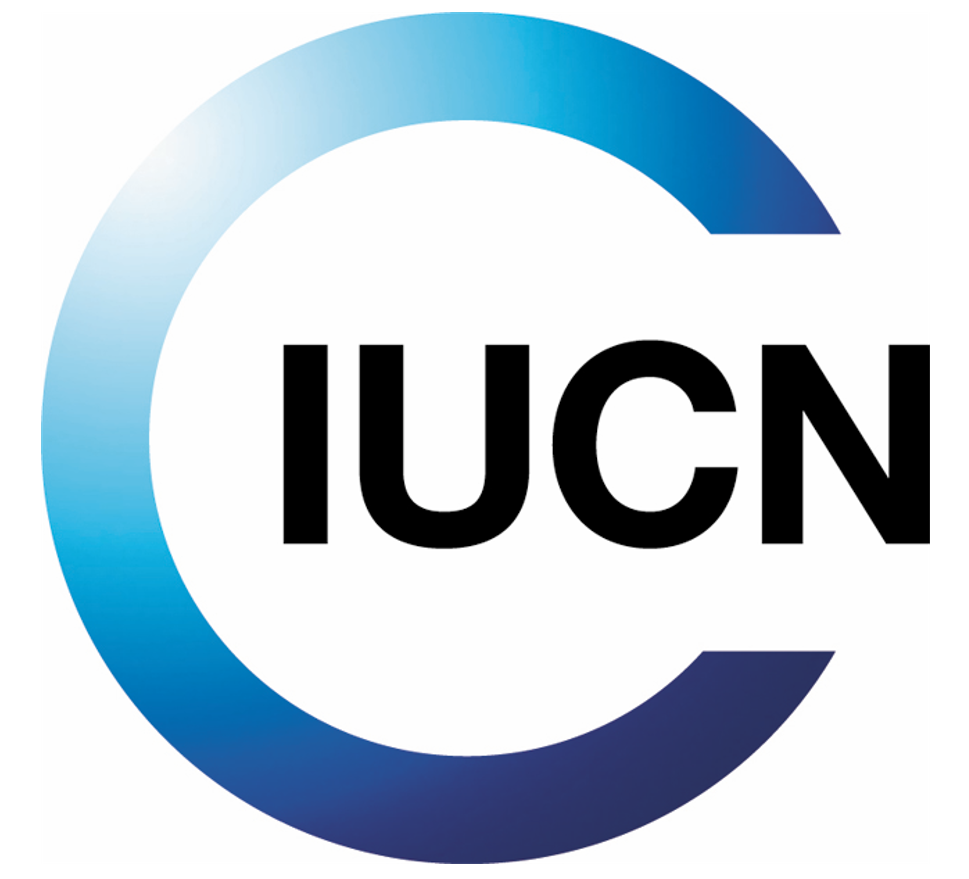 Logo.