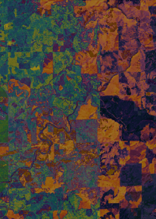 Landscape monitoring.