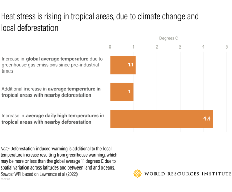 Heat stress is rising in tropical areas due to climate change and local deforestation