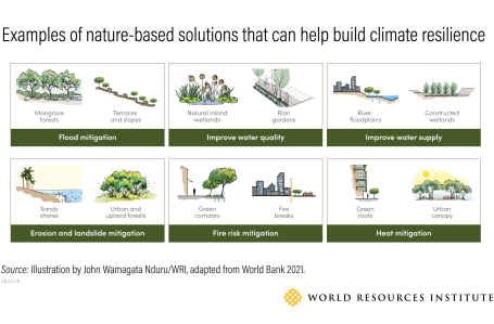 Illustration showing potential benefits of nature-based solutions, such as flood mitigation and improved water quality.