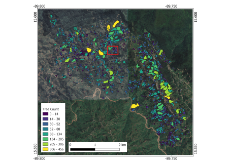 Tree count by polygon on Nature Rwanda project sites.