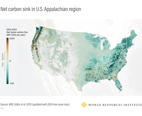 Net carbon sink in U.S. Appalachian region map