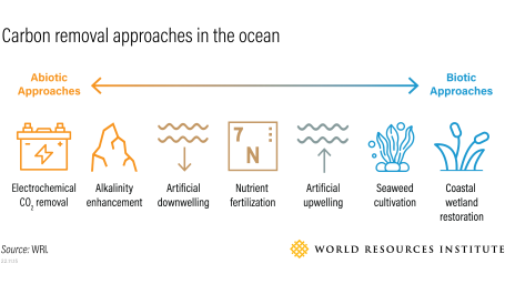 Ocean-based carbon removal approaches