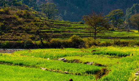 Two people standing in a field at the edge of a mountain. 