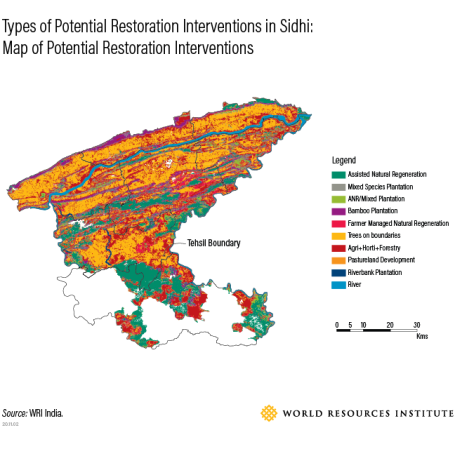 Sidhi has massive biophysical potential for restoration.