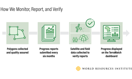 Graphic showing four stages to measure, report on and verify land restoration projects.