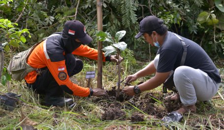 Men planting a tree.