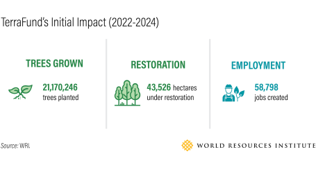 TerraFund's Initial Impact (2022-2024).